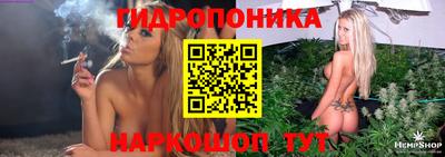 молекула духа Жуковский